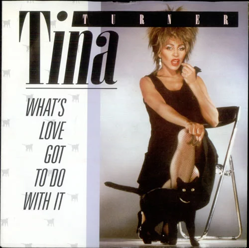 Coming Around Again: 60s resurgence in the 80s - Tina Turner