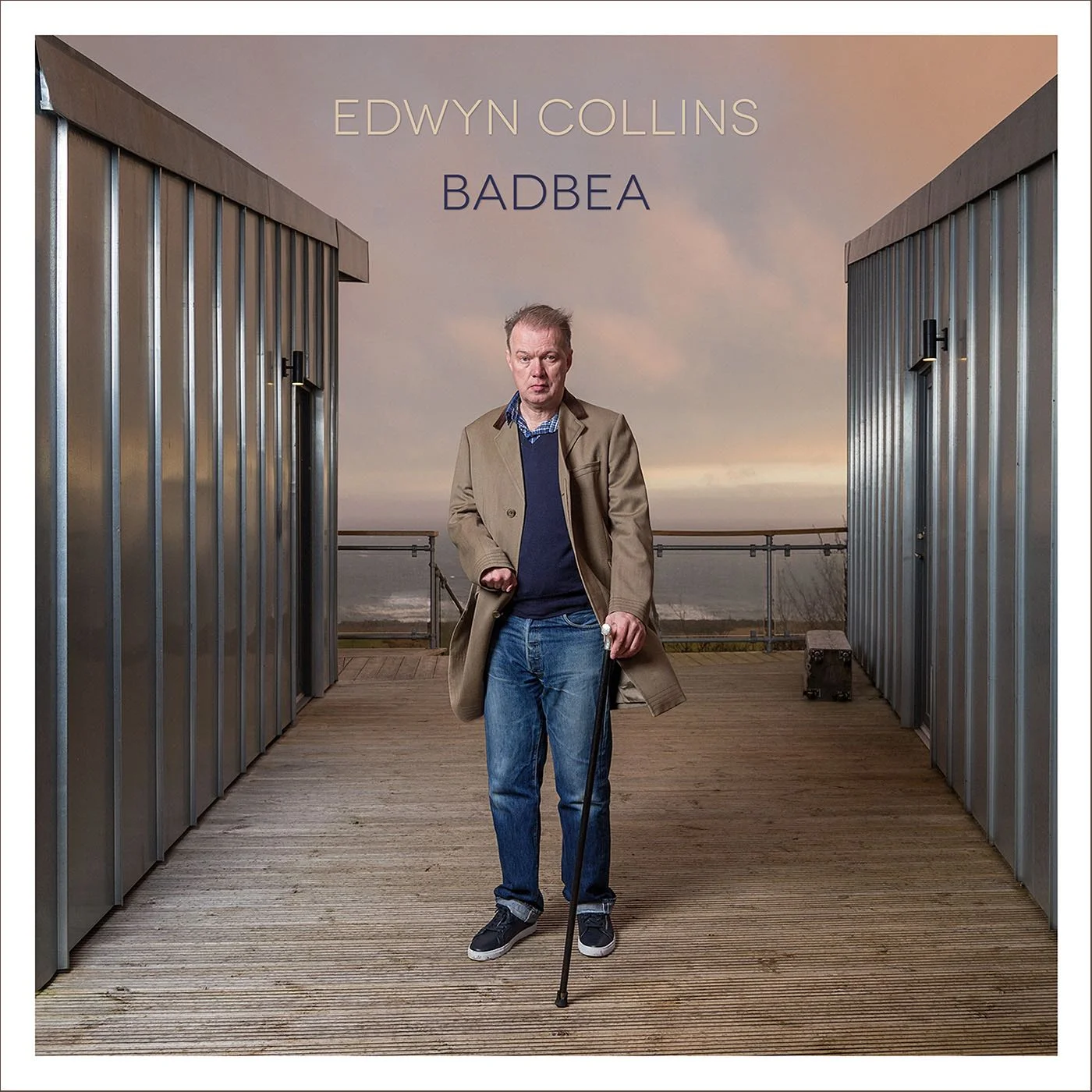 Edwyn Collins