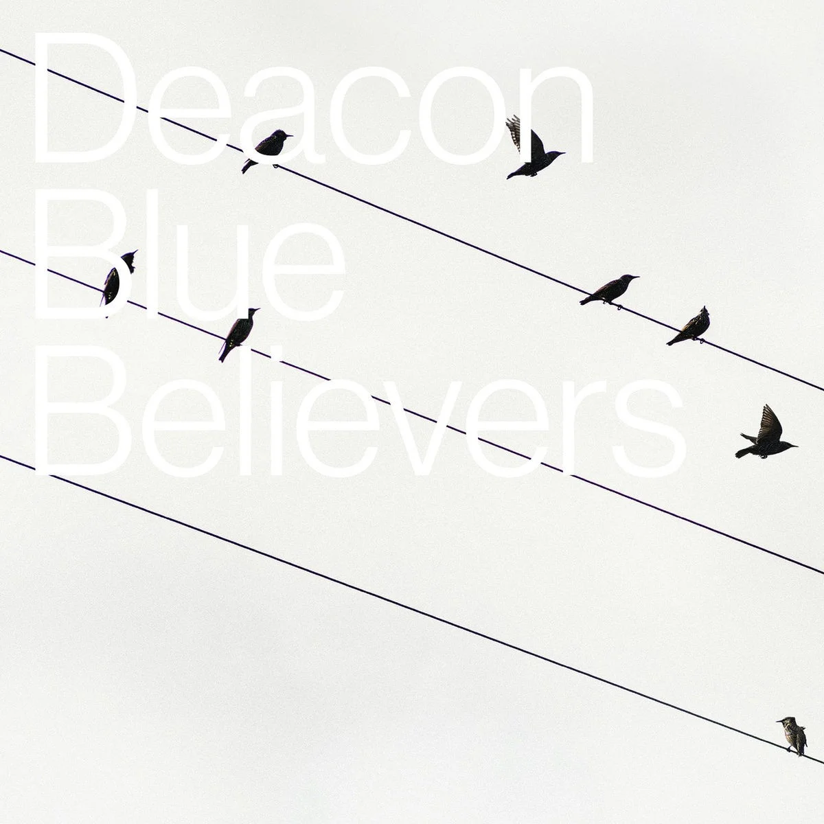 Believers