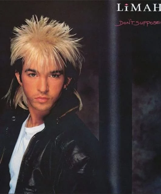 Limahl Don't Suppose cover