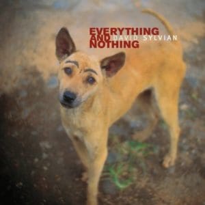 David Sylvian's Everyhting & Nothing