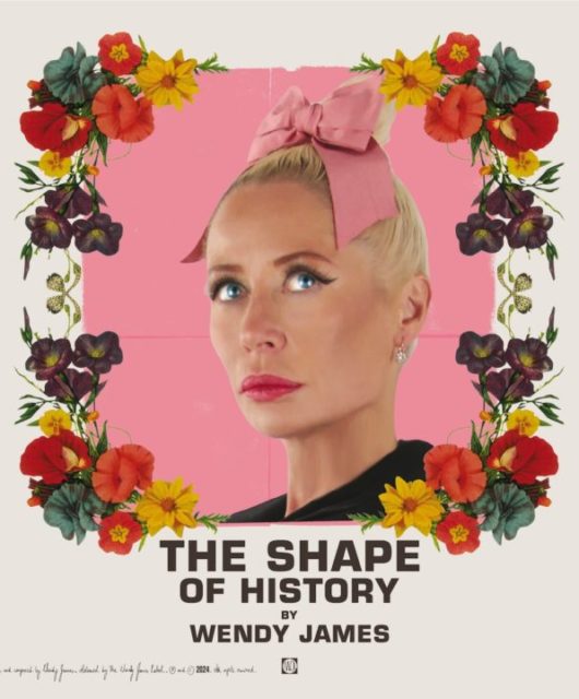 Wendy James - The Shape Of History packshot